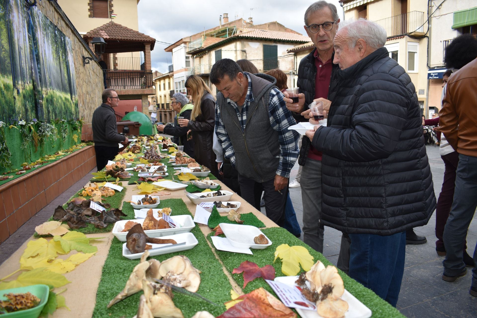 XIII Jornadas Micológicas de Aguilar