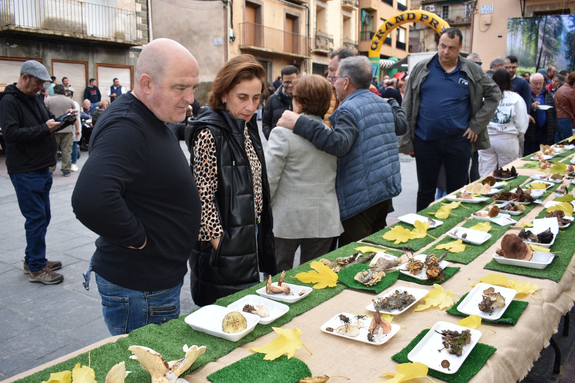 XIII Jornadas Micológicas de Aguilar