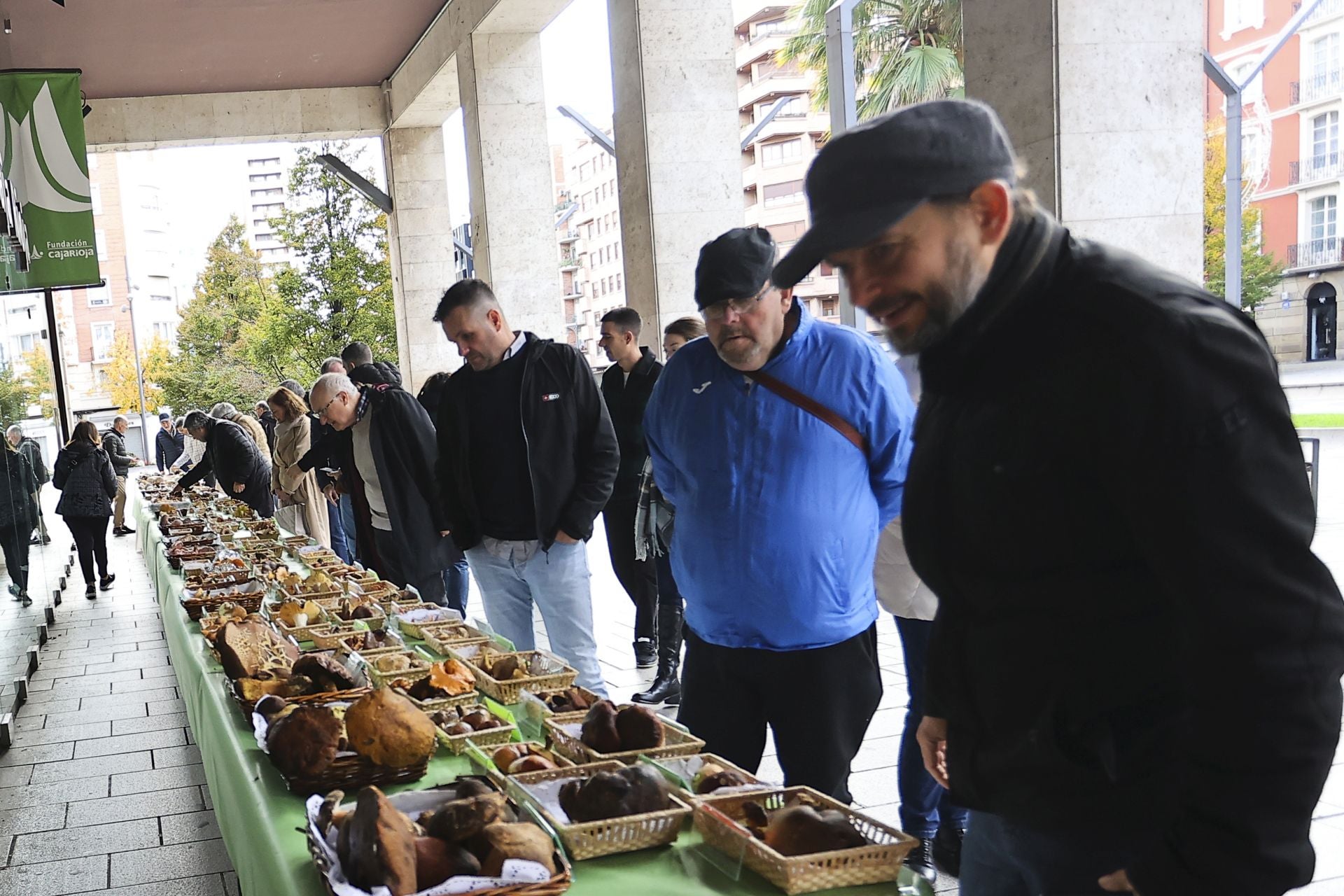 Exposición de setas en Gran Vía para el cierre de las jornadas de Verpa