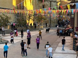 Imagen del encierro de las pasadas fiestas de Acción de Gracias en Labastida.