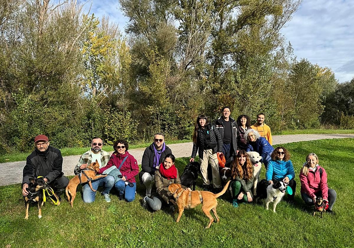 Uno de los paseos sociales y solidarios organizados en Logroño para colaborar con las mascotas afectadas por la DANA de Valencia.