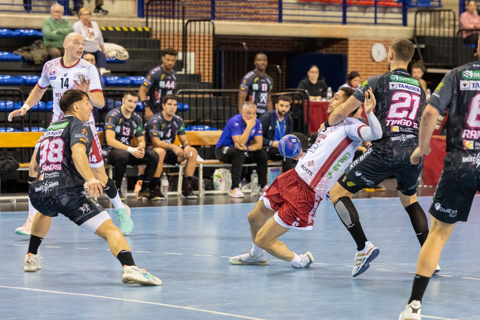 Las imágenes del Ciudad de Logroño-Puente Genil