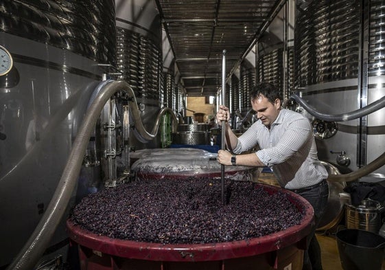 José Luis Heras en la bodega trabajando con uno de los vinos parcelarios.