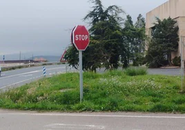 Cruce en el que un árbol impide la visión