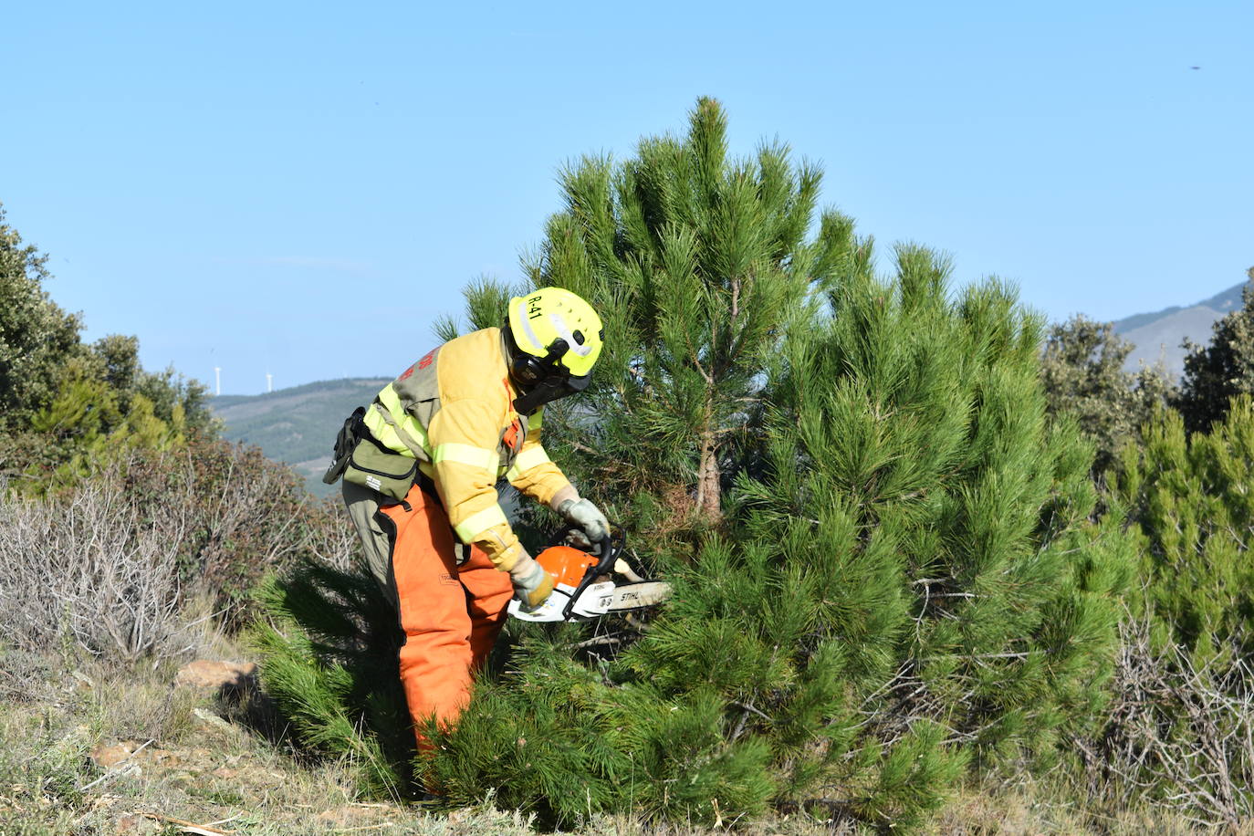 Los alumnos de FP de forestales aprenden en el terreno a combatir las llamas