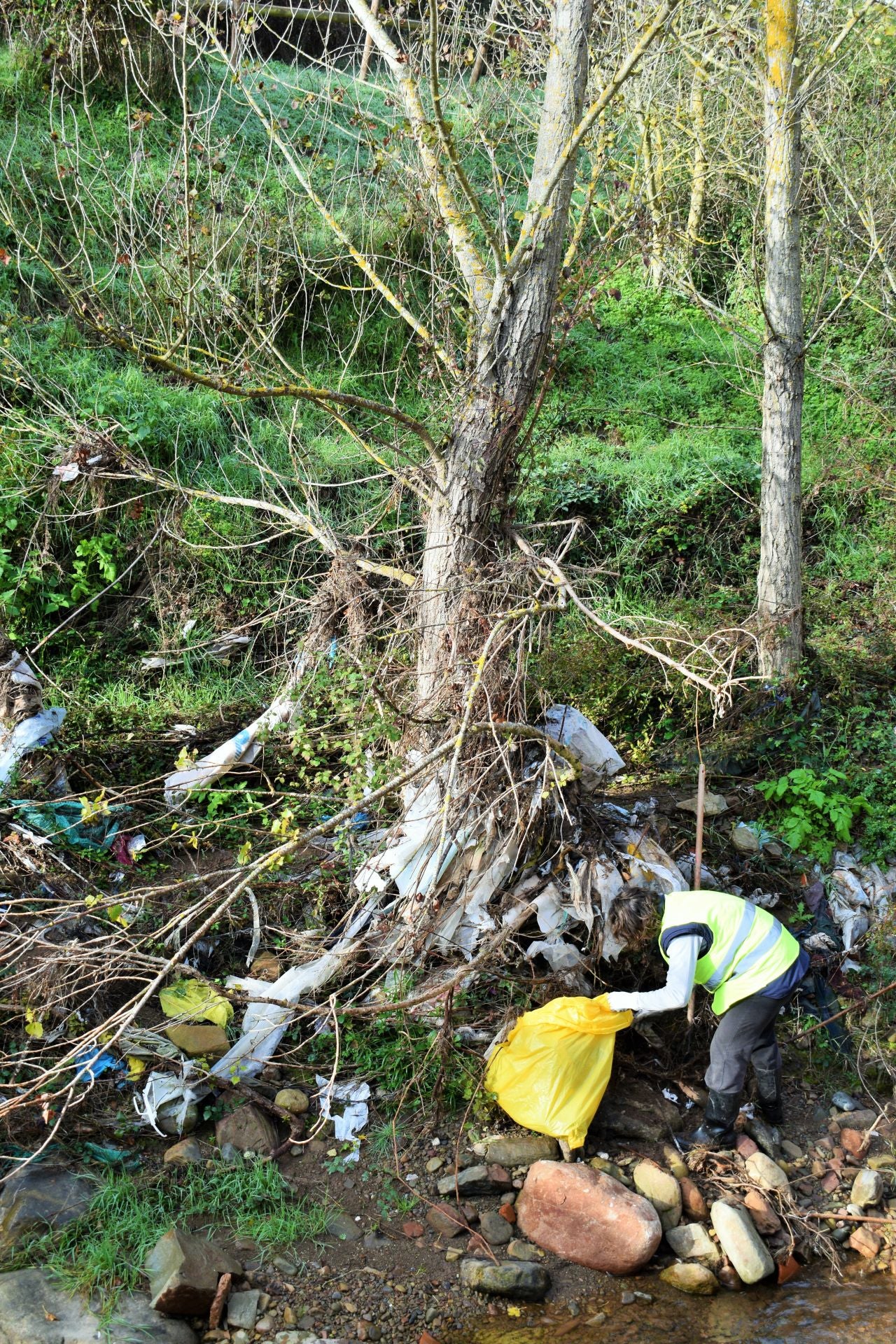 &#039;Amigos de los ríos&#039; limpia el barranco de Santa Engracia