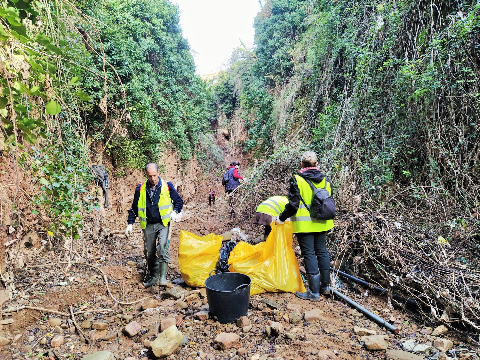 &#039;Amigos de los ríos&#039; limpia el barranco de Santa Engracia