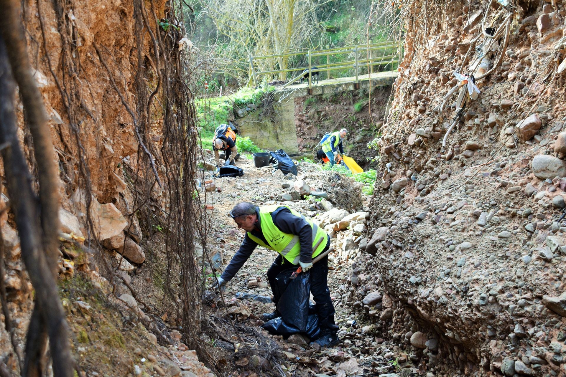 &#039;Amigos de los ríos&#039; limpia el barranco de Santa Engracia