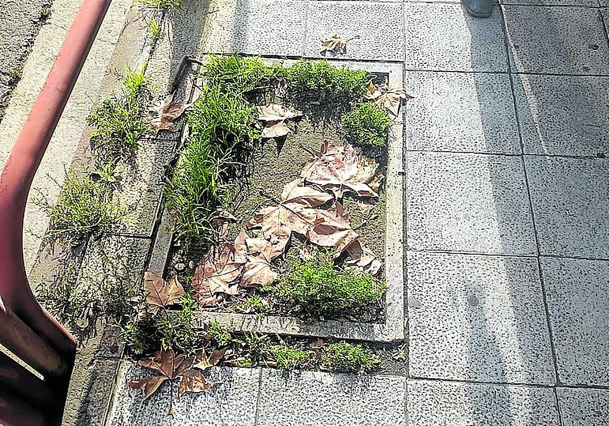 La apertura de comercios el 9 de junio no gusta a los trabajadores del sector