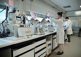 Trabajos del equipo de investigación en los laboratorios de la UR.