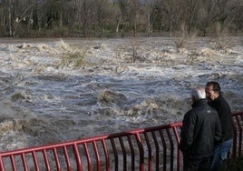 Crecida del Ebro en Logroño del pasado mes de febrero.