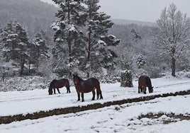 Nieve en Villoslada.