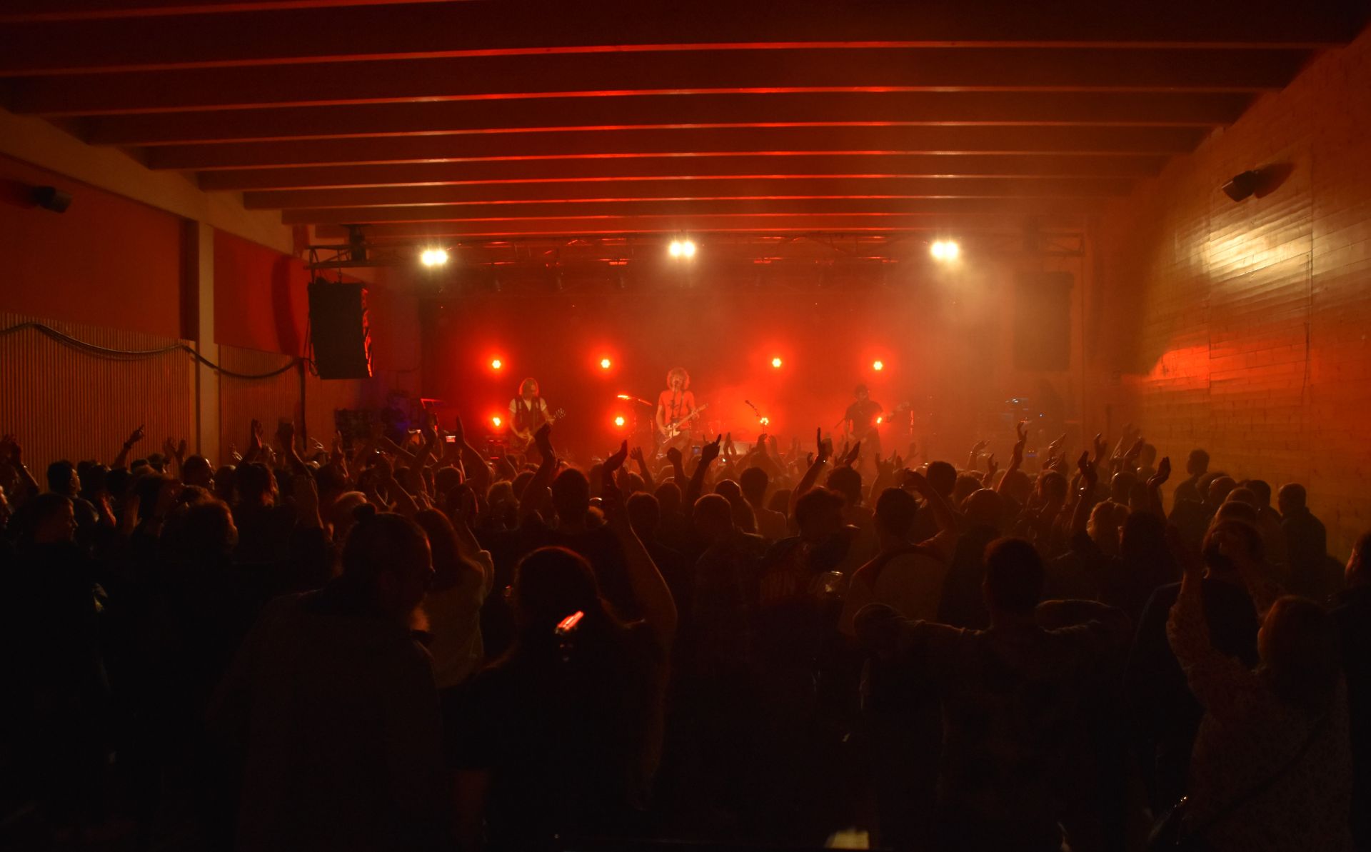 Concierto de Los Zigarros en Aldeanueva de Ebro