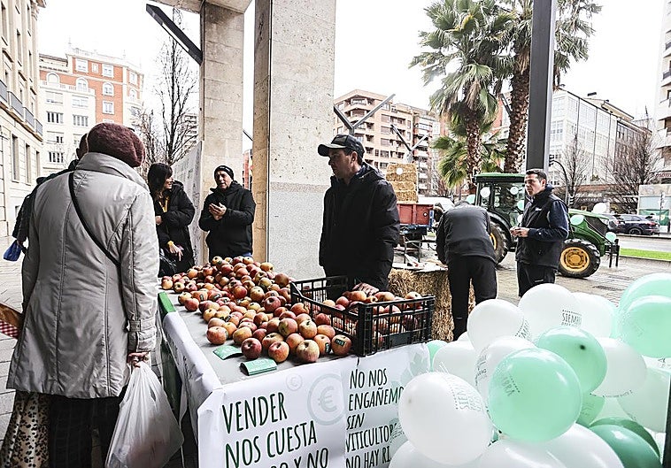 Exposición de manzanas Fuji, de Igea, para promover el consumo local en Navidad.