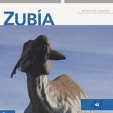 Portada del número 42 de Zubía.