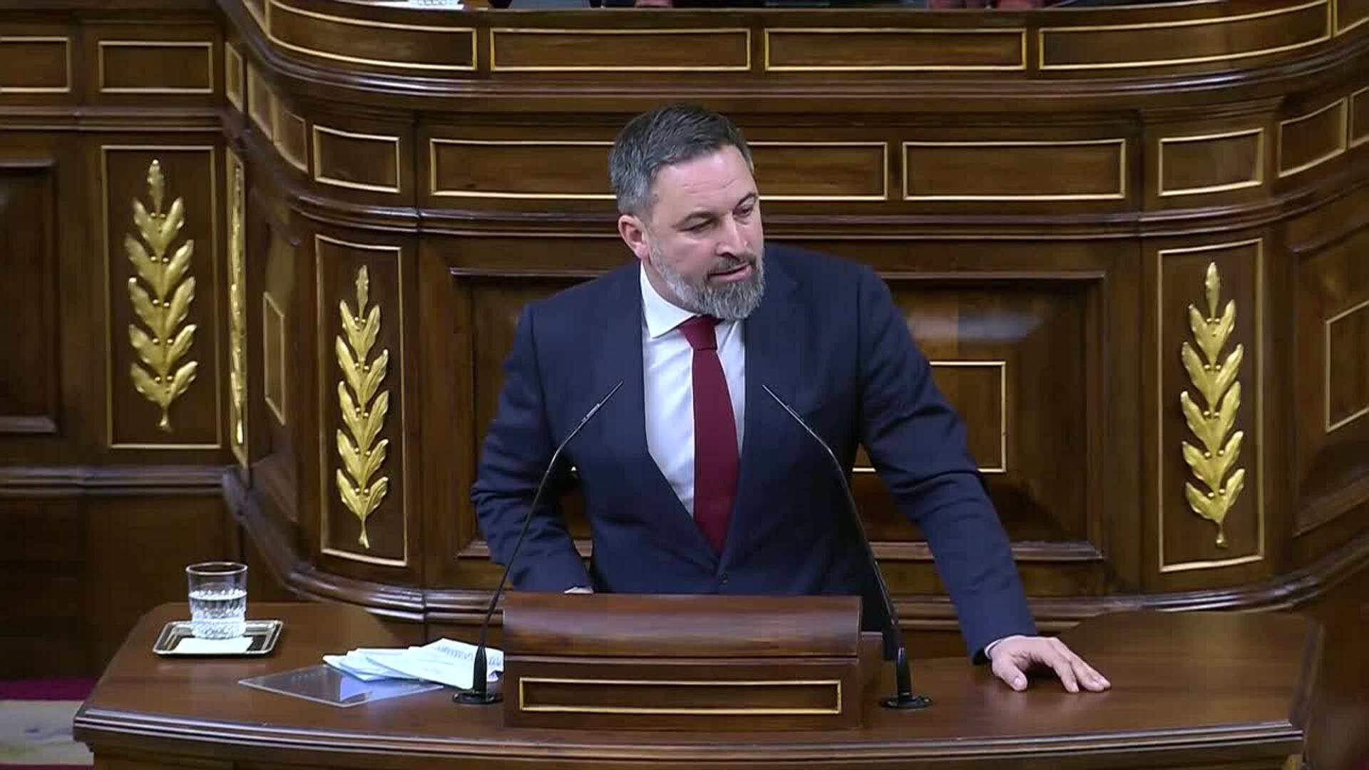 Abascal avisa que la amnistía convertirá a España "en una falsa democracia"