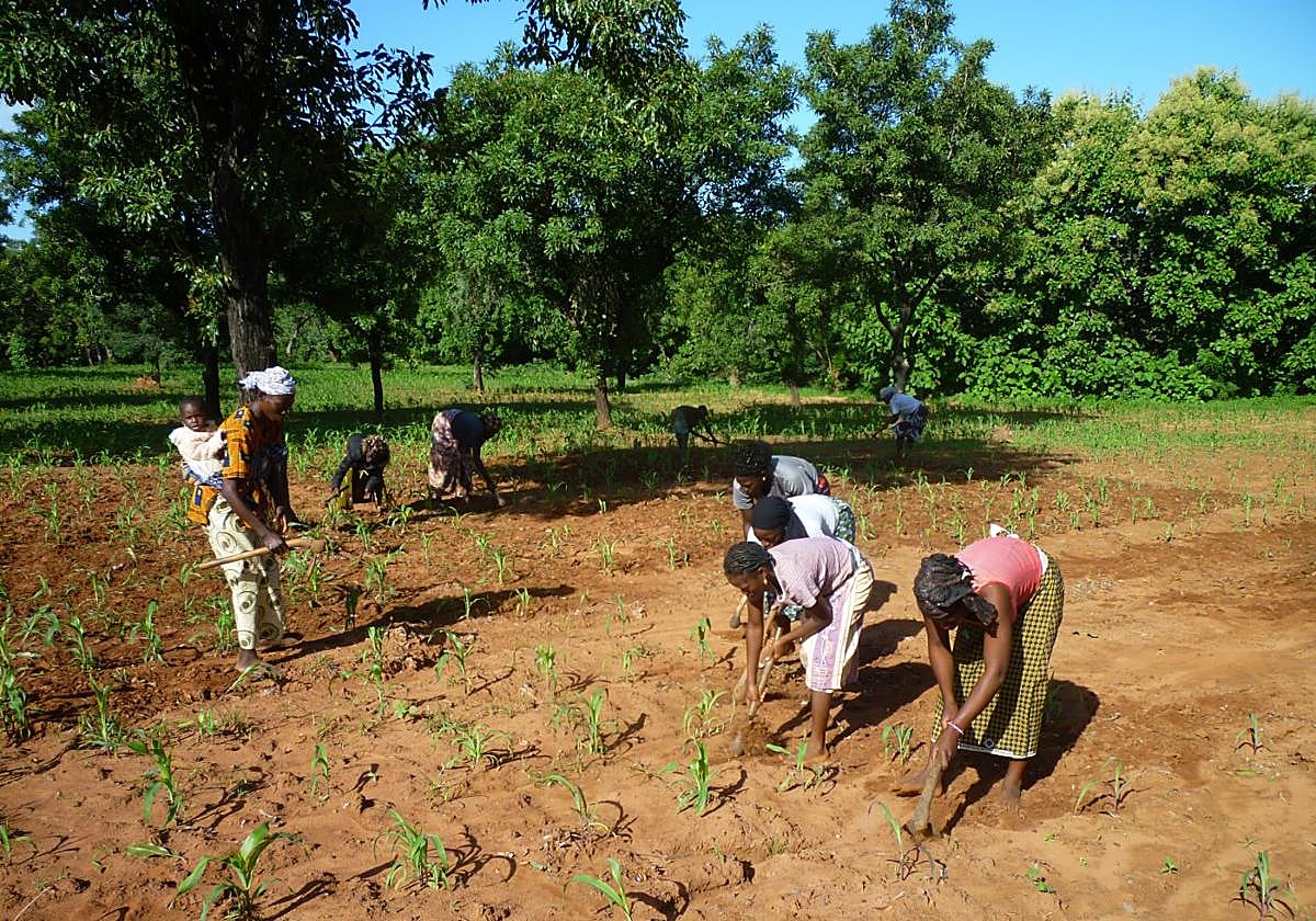 Uno de los últimos proyectos financiados en Burkina Faso.