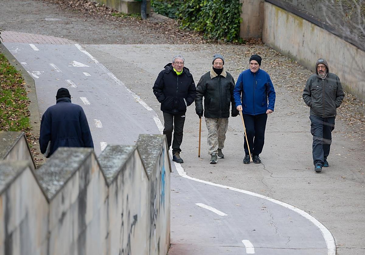 Un grupo de caminantes desafía al frío paseando por el parque del Ebro bien abrigados.