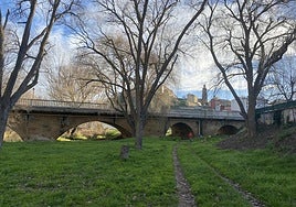 La ribera del Oja Tirón, por la que ayer paseaban vecinos de Haro con perros.