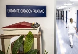 Pasillos de la unidad de Cuidados Paliativos en el Hospital de La Rioja.