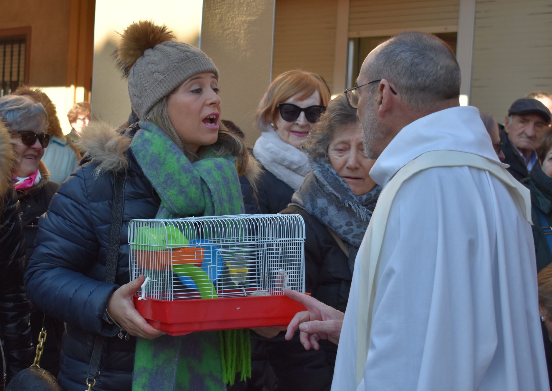Bendición por San Antón en Rincón de Soto