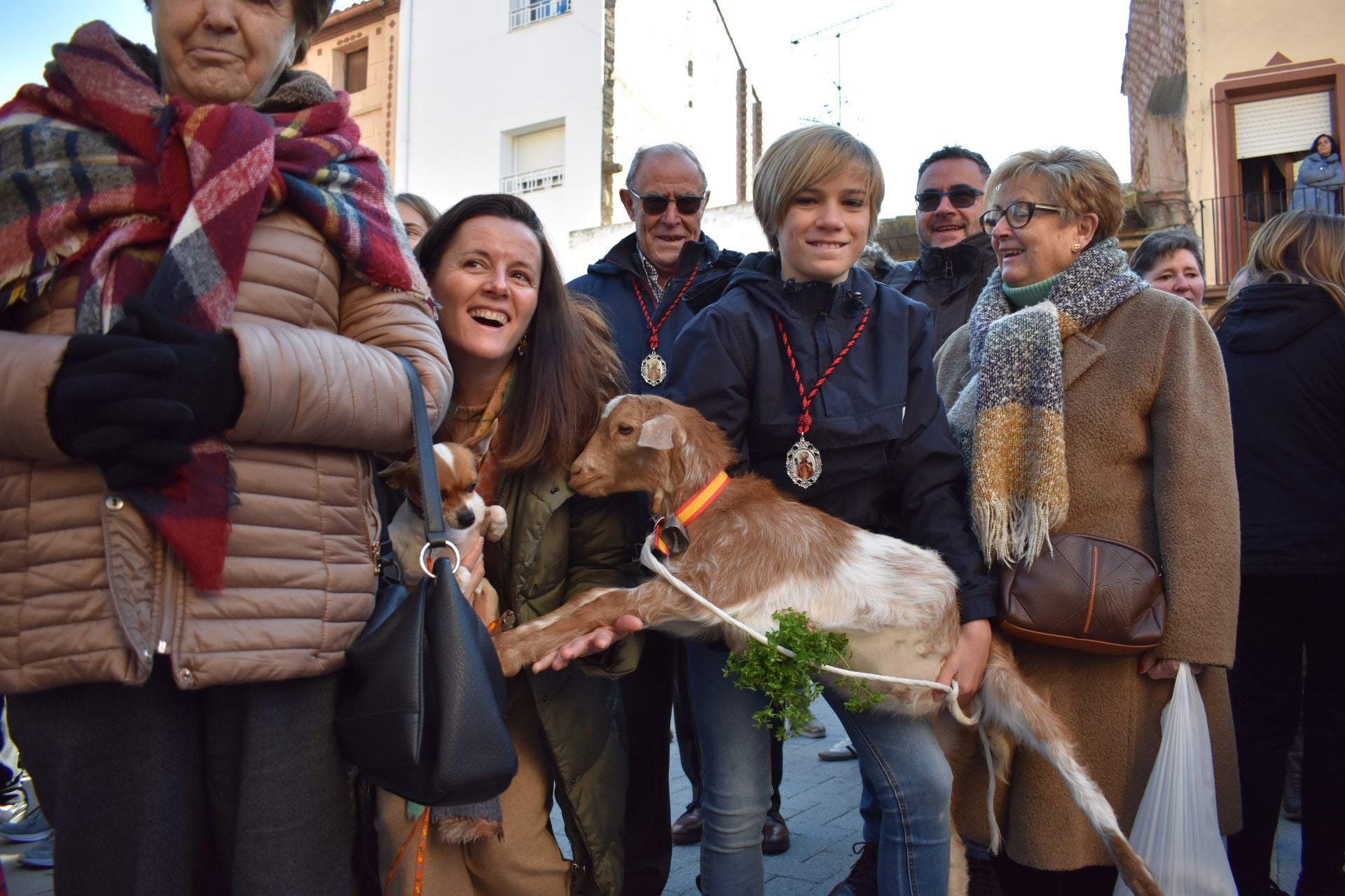 Bendición por San Antón en Rincón de Soto