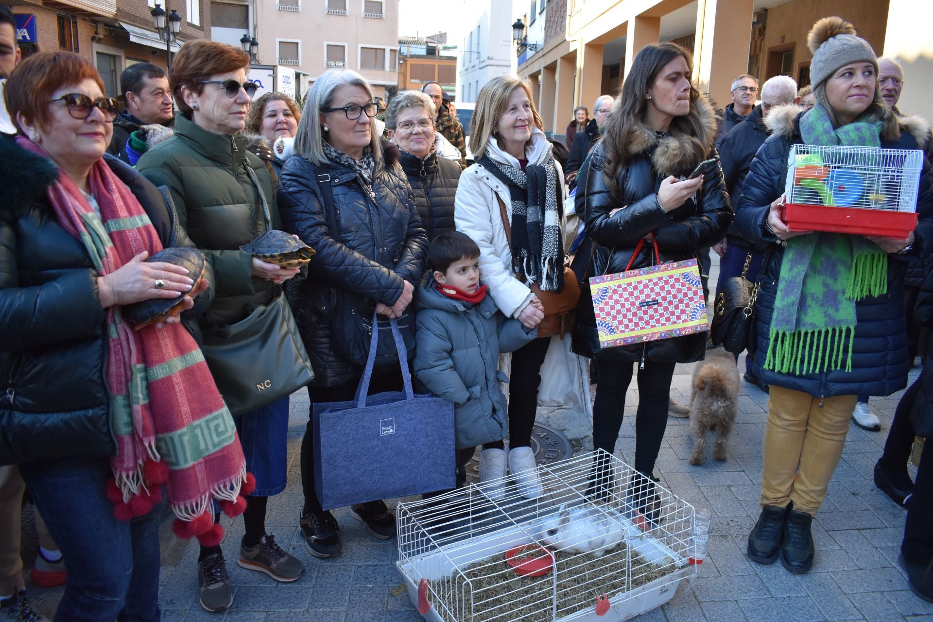 Bendición por San Antón en Rincón de Soto