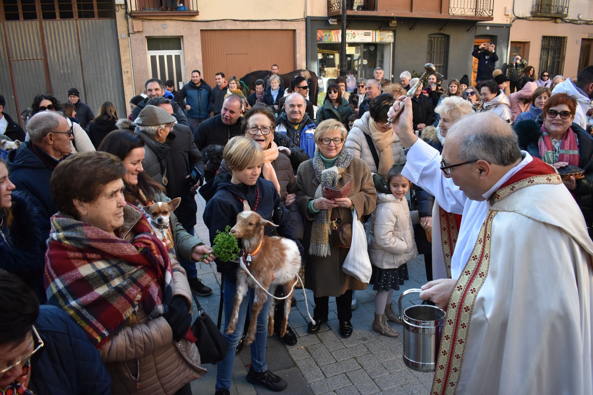 Bendición por San Antón en Rincón de Soto