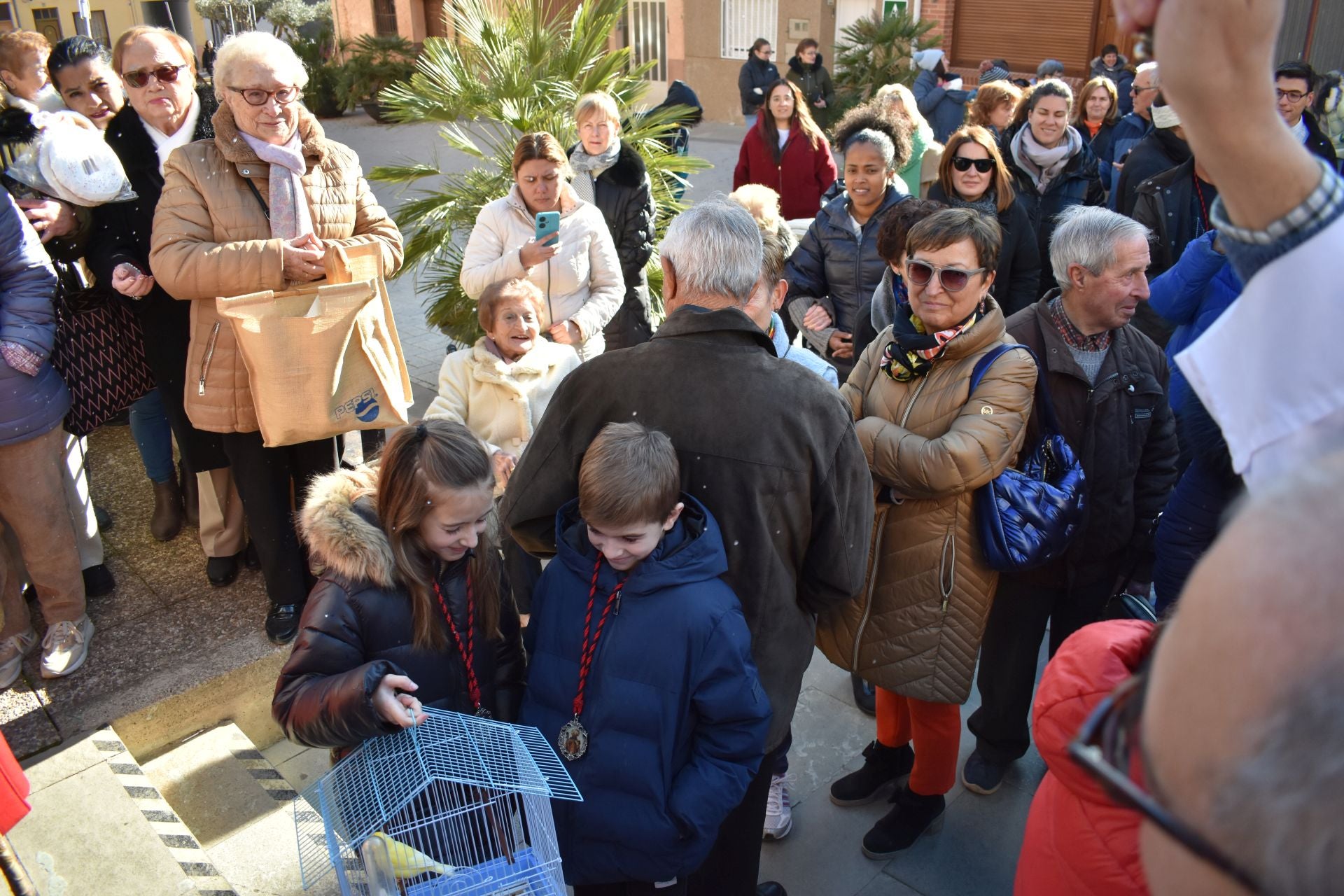 Bendición por San Antón en Rincón de Soto