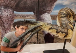 Maqueta de un brazo de Riojavenatrix lacustris en el centro paleontológico de La Rioja en Igea.