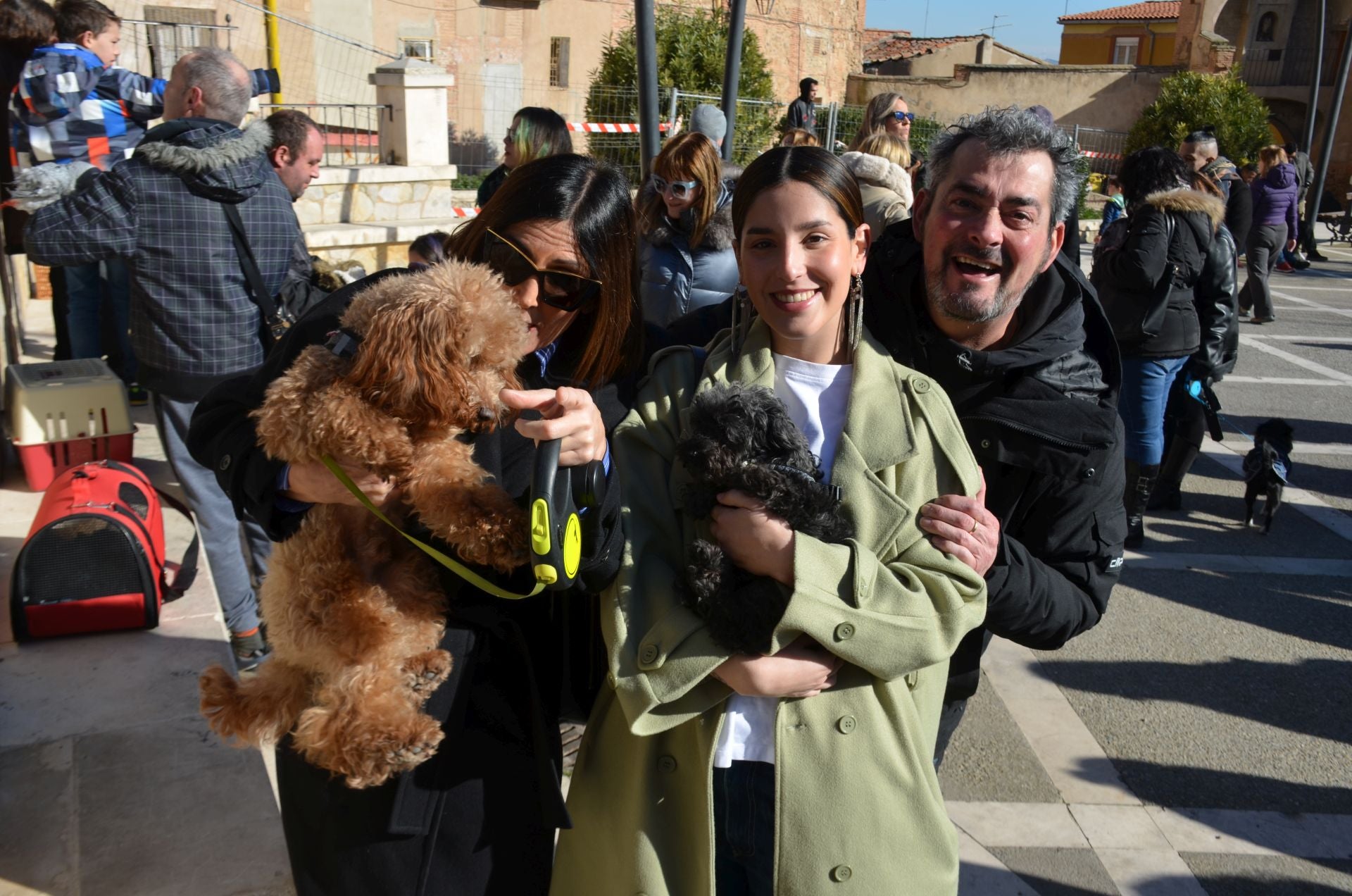 Bendición de San Antón, en Calahorra