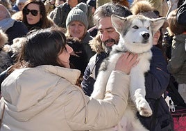 Bendición de San Antón, en Calahorra