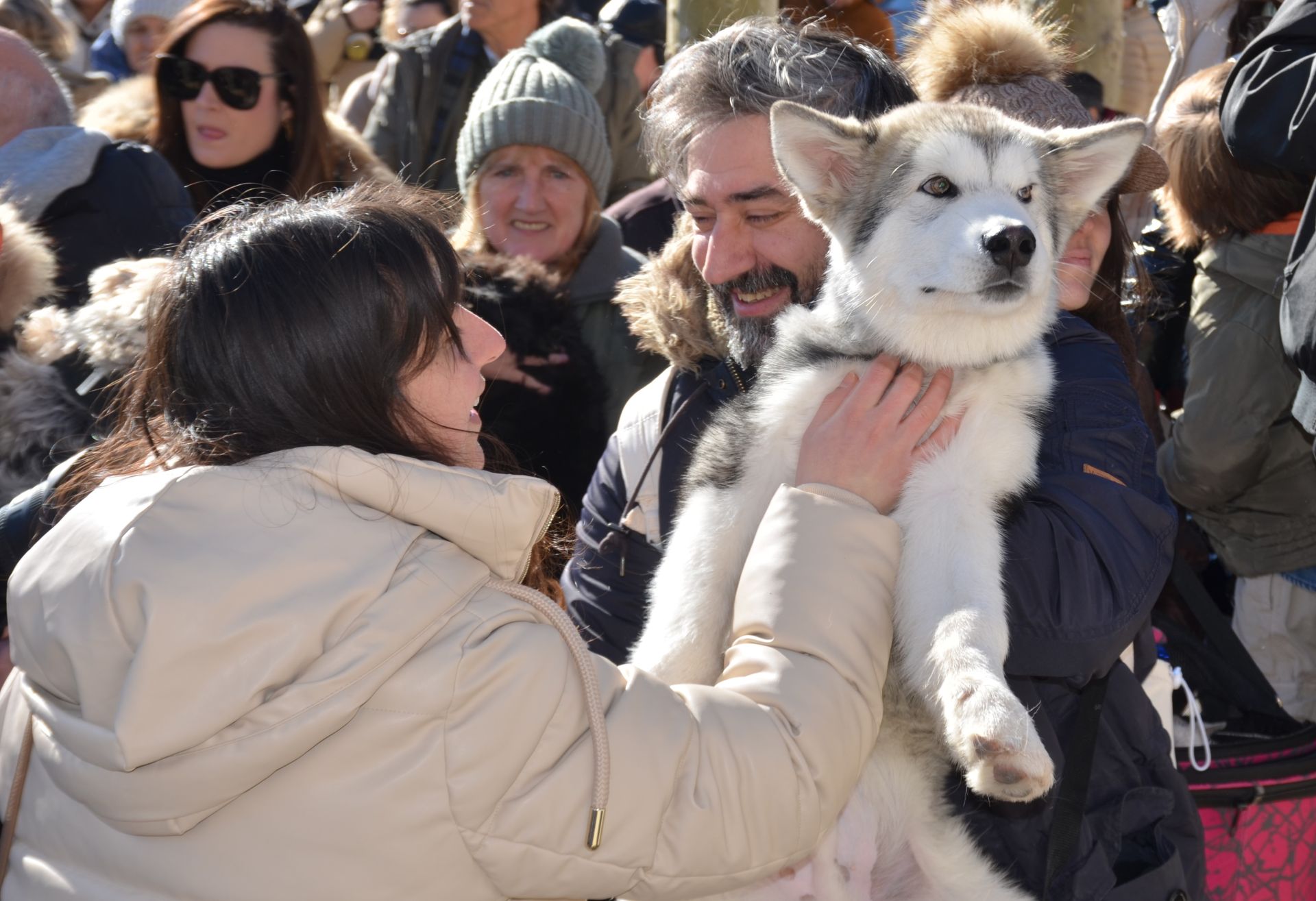 Bendición de San Antón, en Calahorra