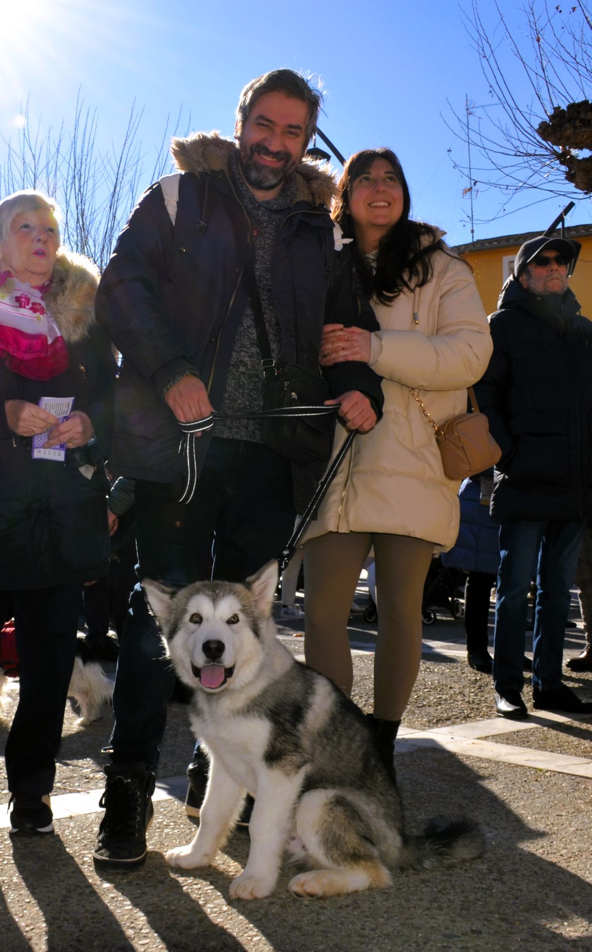 Bendición de San Antón, en Calahorra