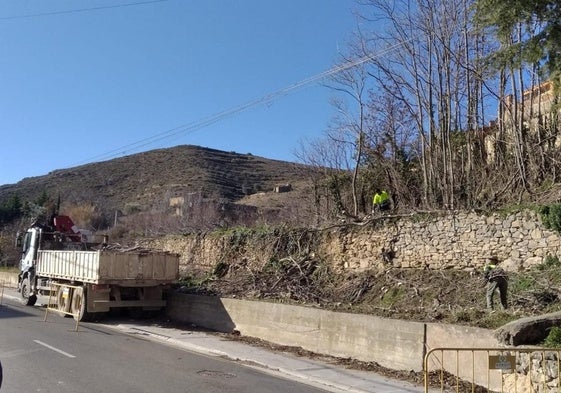 Intervención en Cervera para eliminar ailantos del entorno de la ermita de la Soledad, junto a la LR-284 (carretera de Aguilar).