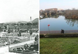 Feria de ganado a la orilla del Ebro