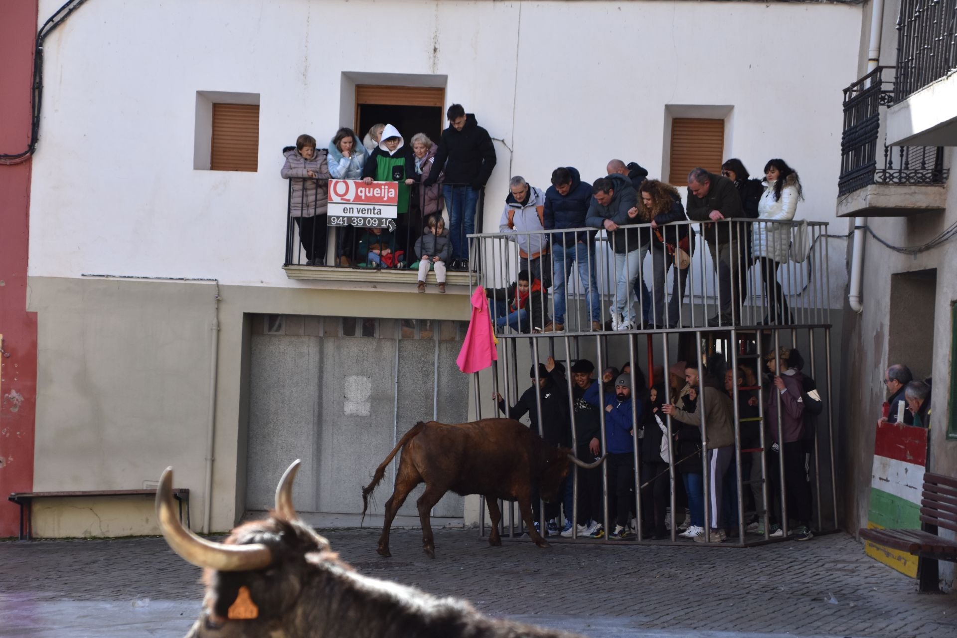 Encierros de reses bravas en las fiestas de San Blas de Autol