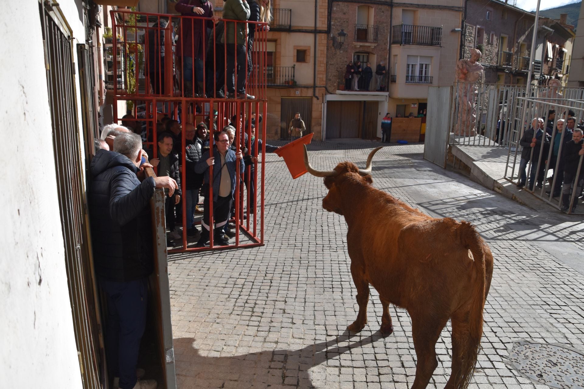 Encierros de reses bravas en las fiestas de San Blas de Autol