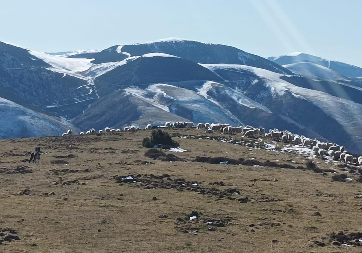 Las montañas alrededor de Brieva de Cameros en la mañana de este viernes.