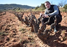 Javier Jiménez 'Villarroya' en la viña centenaria que posee su familia a las faldas del monte Gatún, en Quel.