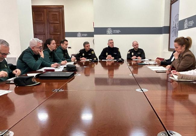 Representantes de Guardia Civil y Policía Nacional, este martes con la delegada del Gobierno.