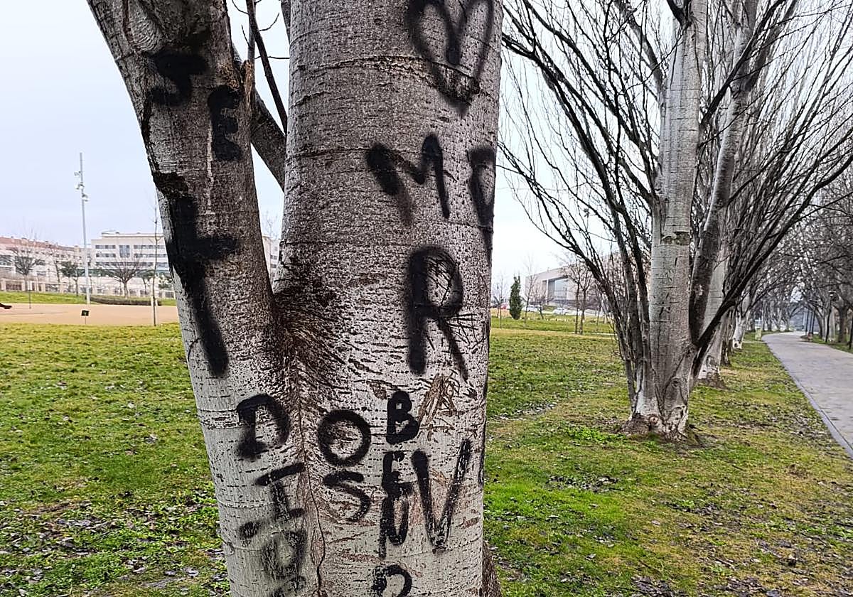 «Una vergüenza, cerezas argentinas a 22 euros. ¡Qué tiempos de la huerta de Varea!»