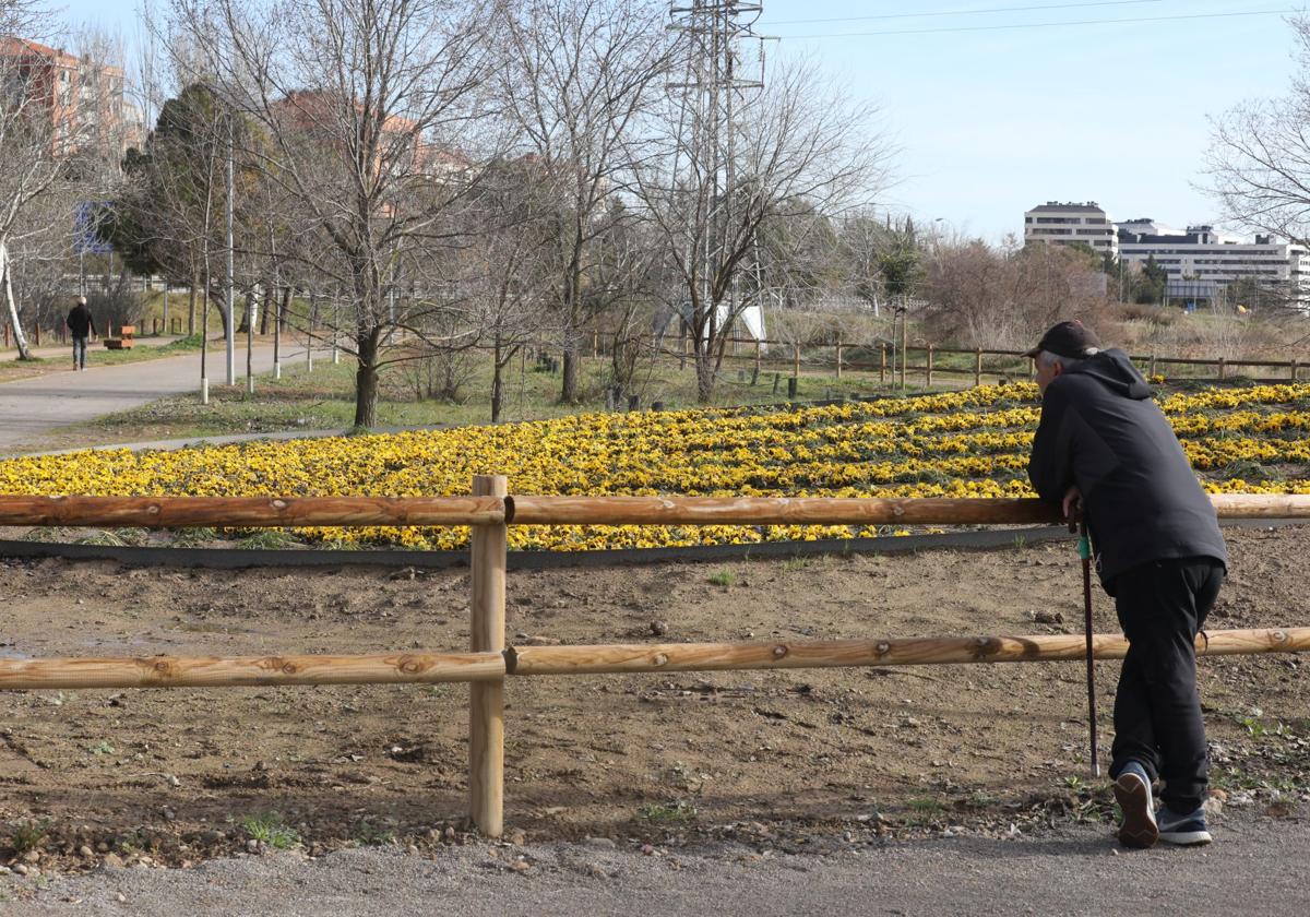 Imagen del jardín que representa la concha de Santiago, símbolo de los peregrinos.