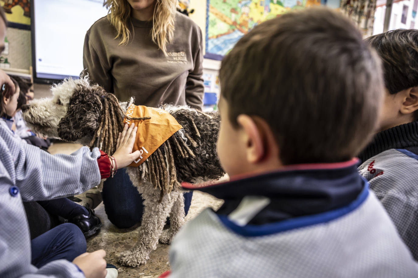 El proyecto de bienestar emocional de Agustinas, en imágenes