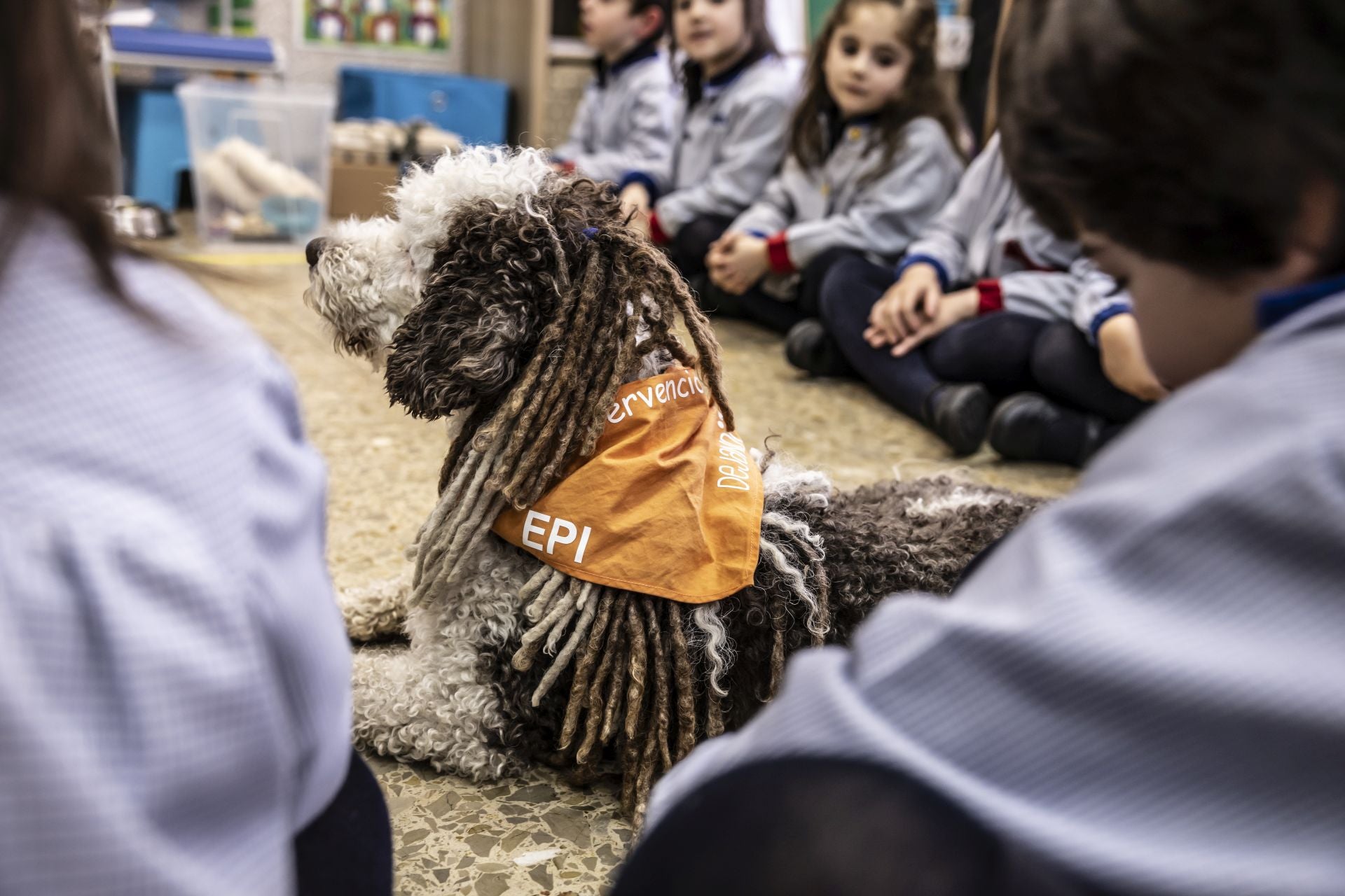 El perro Epi es uno más de la clase en Agustinas
