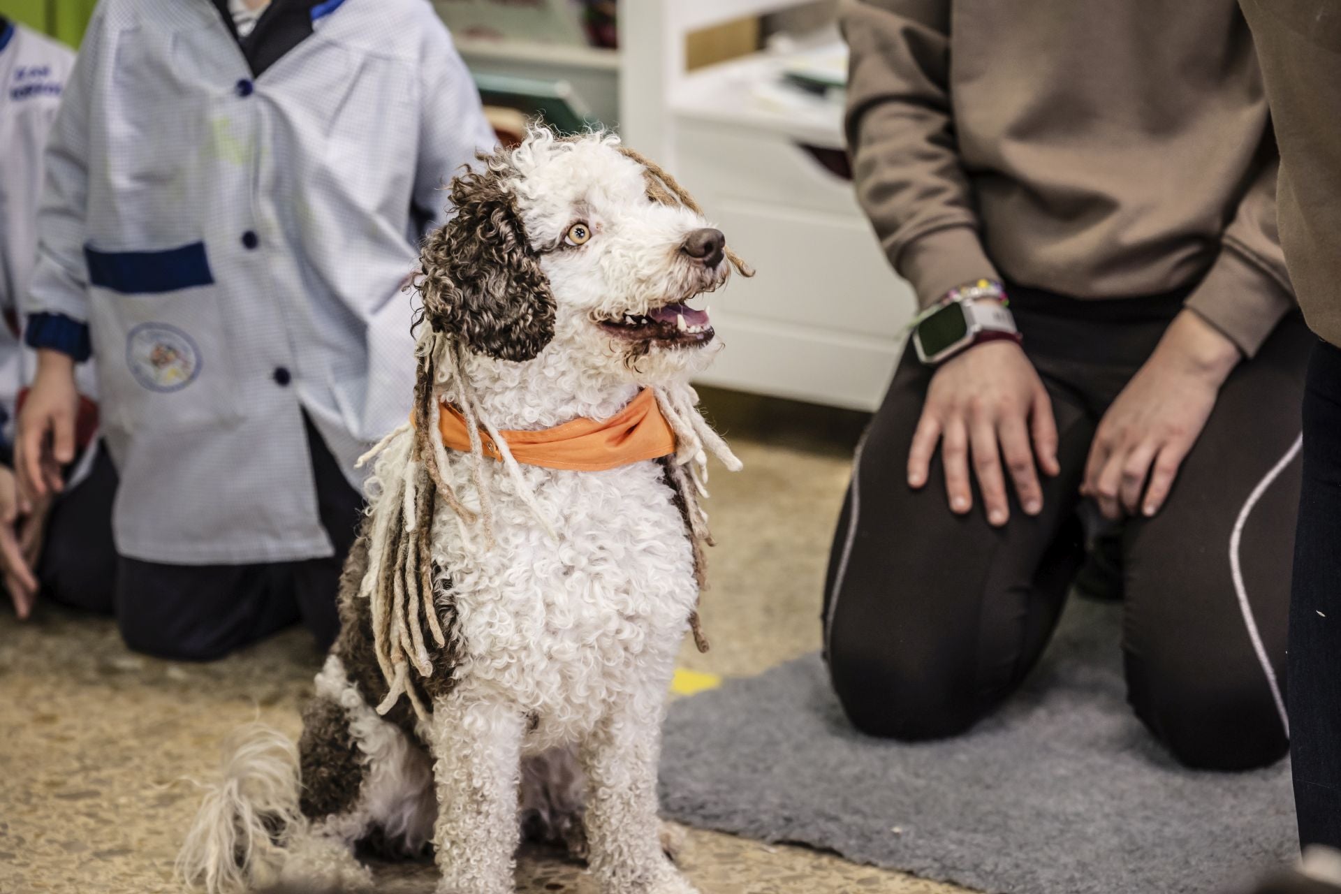 El perro Epi es uno más de la clase en Agustinas