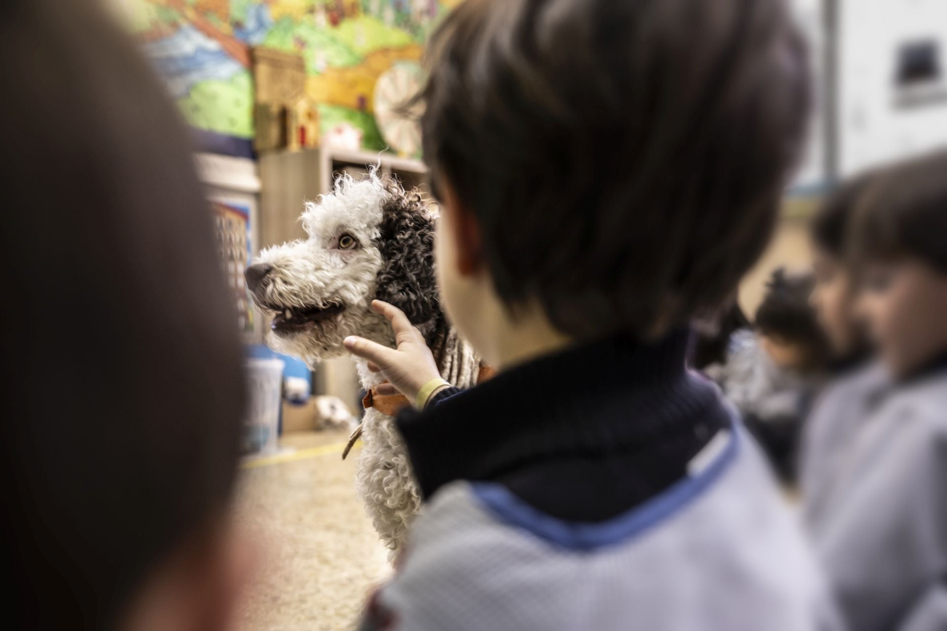 El perro Epi es uno más de la clase en Agustinas
