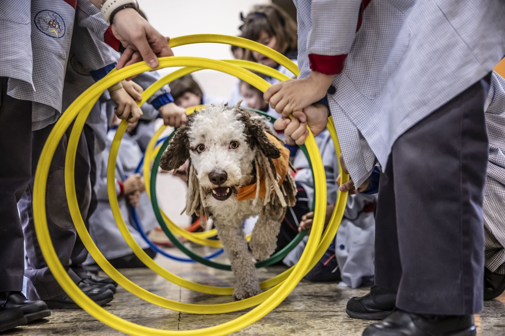 El perro Epi es uno más de la clase en Agustinas