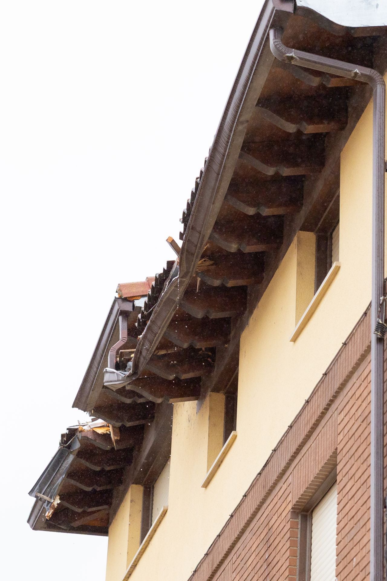 Viguera recupera poco a poco la normalidad