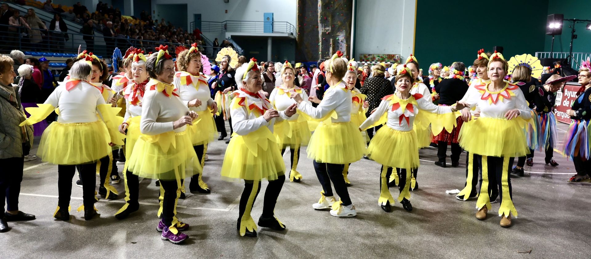 Los mayores celebran el Carnaval con una fiesta de disfraces en el Polideportivo Las Gaunas